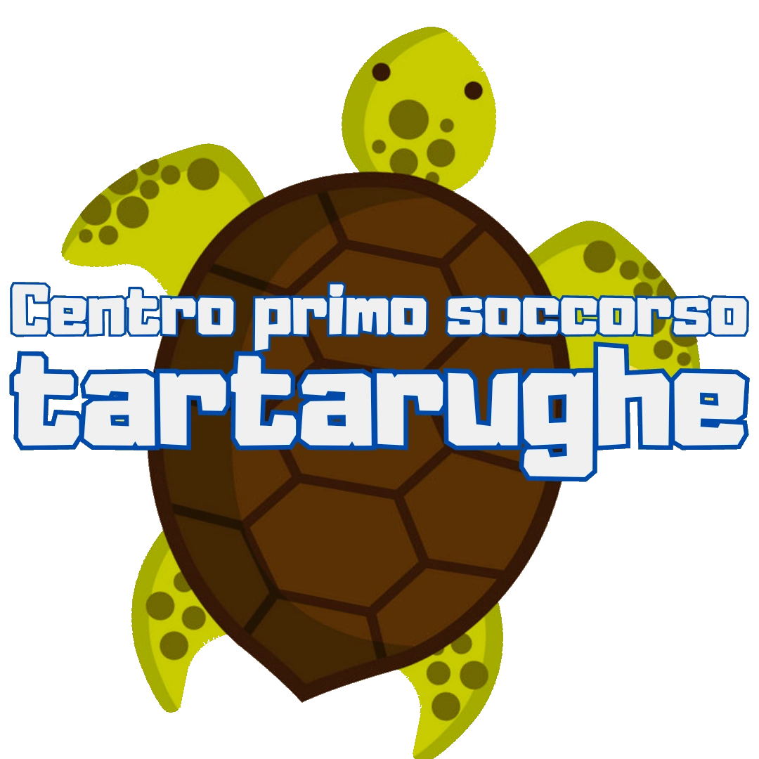 tartaruga stilizzata della fondazione ZooMarine