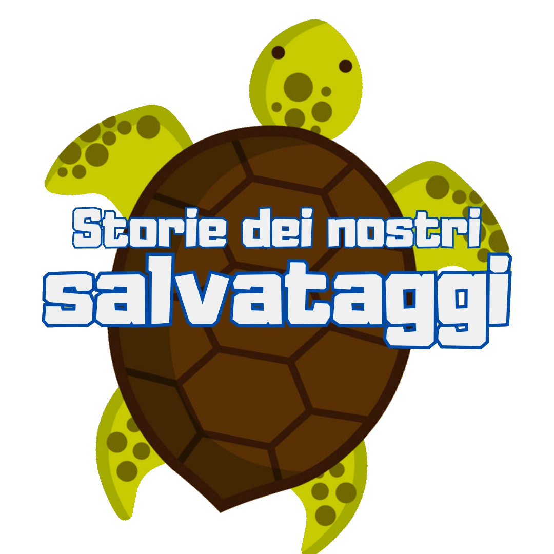 tartaruga stilizzata del fondazione ZooMarine