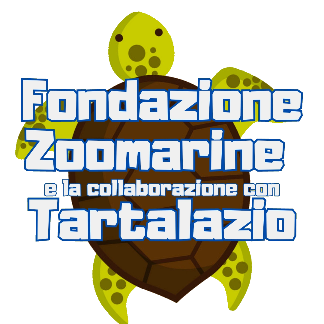 tartaruga stilizzata del fondazione ZooMarine