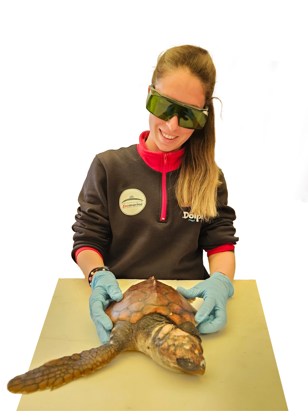 L'operatrice della fondazione zoomarine presta soccorso alla tartaruga marina caretta caretta