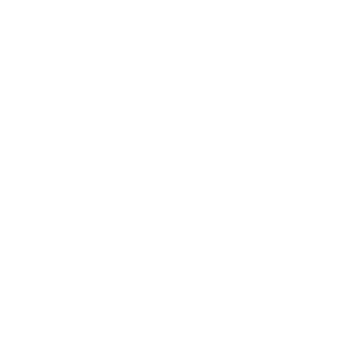 Delfino